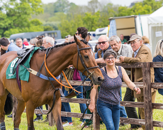 Race 2 - Owner-Trainer Conditions  (19 of 208)
