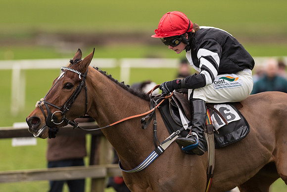 Race 7 - Open Maiden (115 of 131).jpg