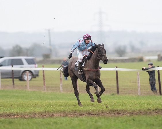 Race 6 - Open Maiden Race Div 1  (63 of 90).jpg
