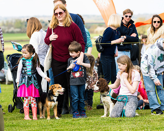 Dog show etc (103 of 157)
