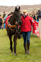 Race 1 - Div 1 - Young Horse Maiden (5 of 90).jpg
