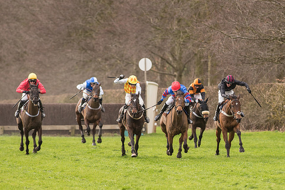 Race 2 - Young Horse Maiden (73 of 110).jpg
