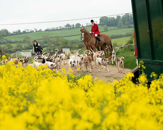 Hunt and Hounds (3 of 12)