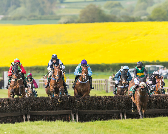 Race 5 - Restricted  (58 of 164)