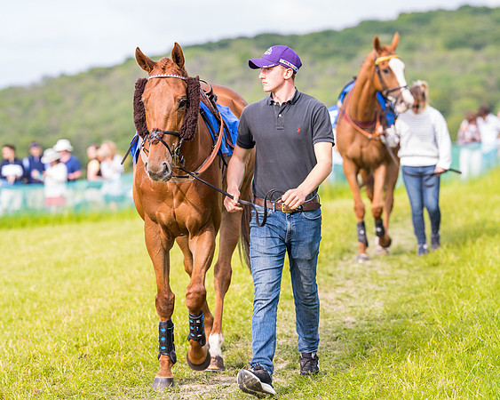 Race 6 - Open Maiden (3 of 346)