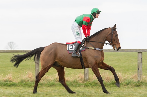 Race 2 - PPORA Novice riders  (50 of 186).jpg