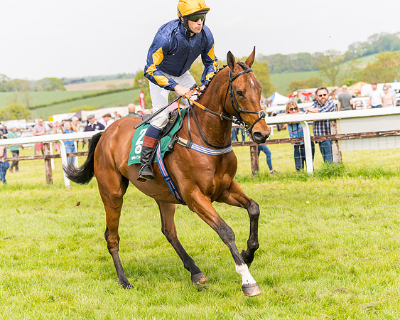 Race 2 - Owner-Trainer Conditions  (43 of 208)