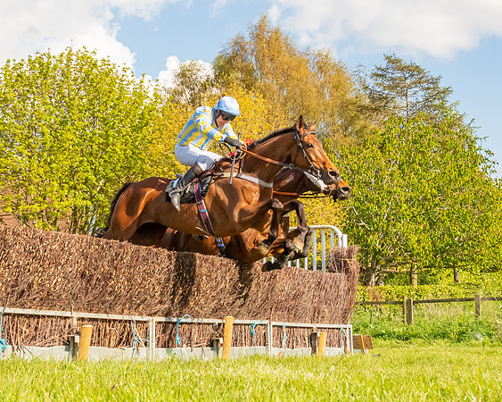 Race 5 - Novice and Veteran Riders (57 of 91)