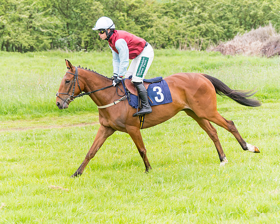 Race 6 - Maiden (18 of 129)