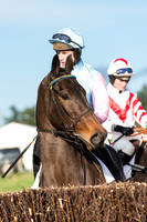 Race 2 - Open Maiden (17 of 82).jpg