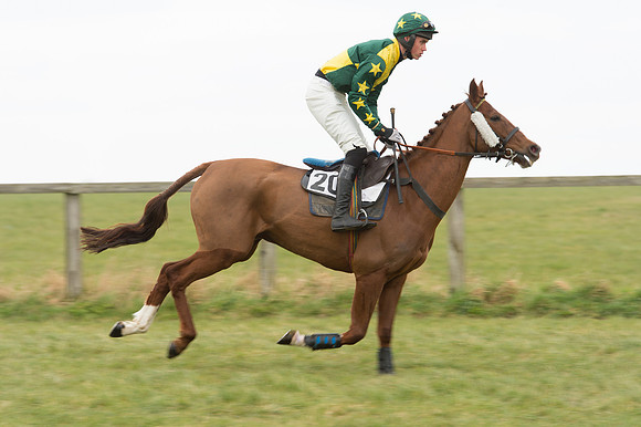 Race 2 - PPORA Novice riders  (19 of 186).jpg