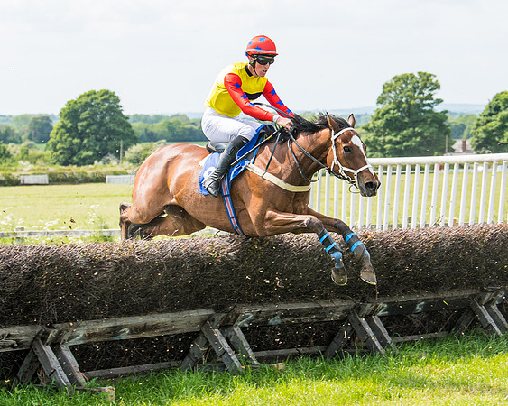 Race 2 - PPORA Novice Riders (256 of 444)