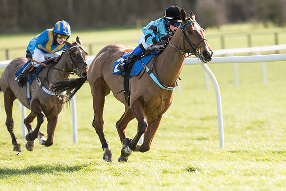 Pony Race 2 (7 of 22).jpg