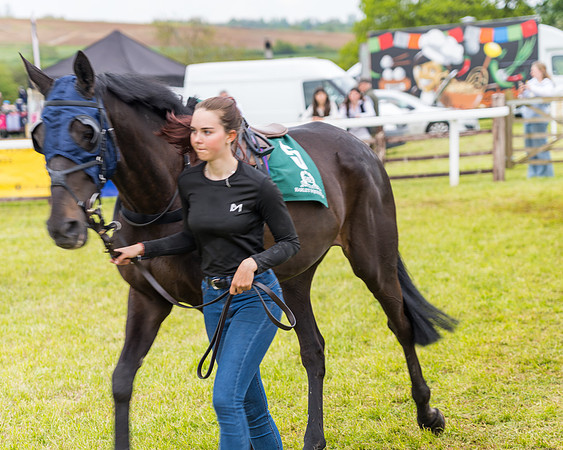 Race 7 - Veteran Horse conditions (34 of 244)