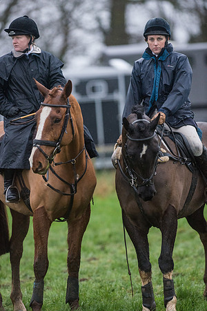 Race 8 - Young Horse Maiden  (3 of 85).jpg