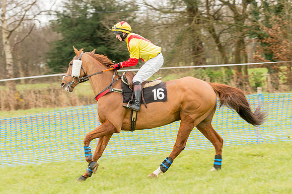 Race 2 - Novice and Veterans   (14 of 101).jpg