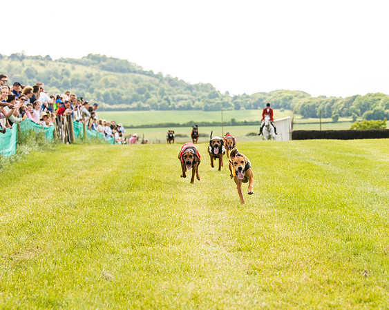Draghounds Race (85 of 212)