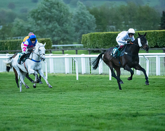 Race 7 - Gloucester Hussars Open  (49 of 154)