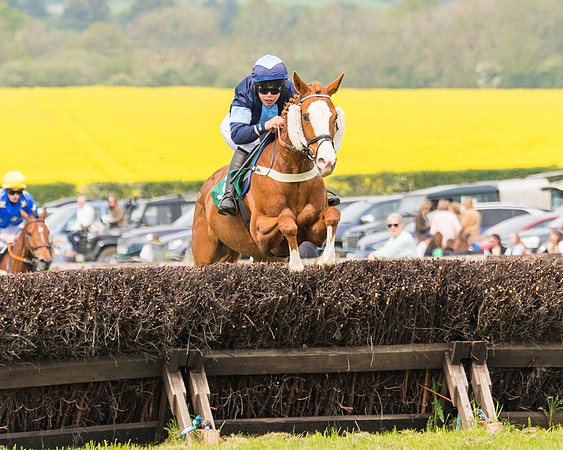 Race 2 - Owner-Trainer Conditions  (69 of 208)