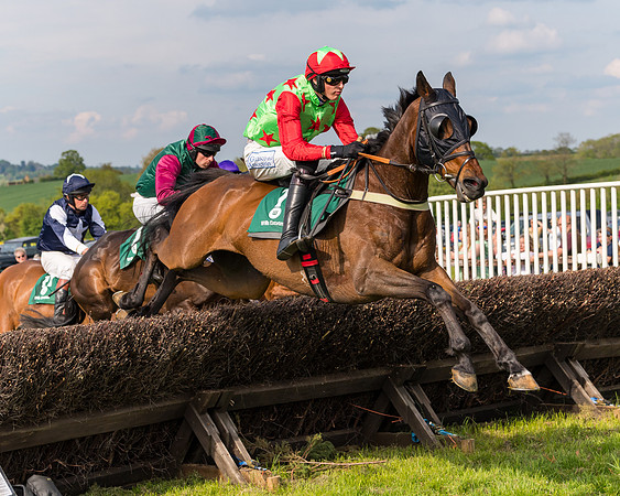 Race 5 - Restricted  (101 of 164)