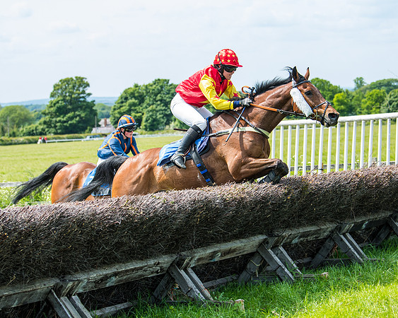 Race 1 - The Little Red owner Trainer conditions (251 of 345)