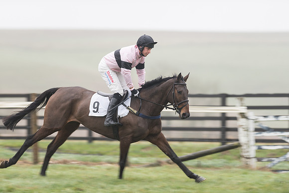 Race 5 - The Intermediate (13 of 59).jpg