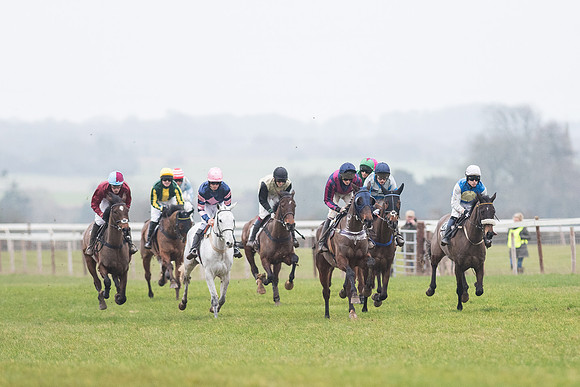 Race 6 - Open Maiden Race Div 2  (40 of 118).jpg