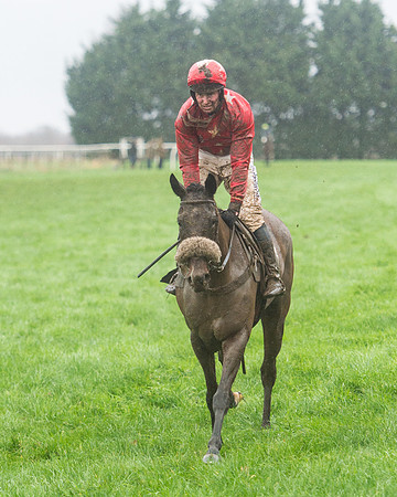 Race 7 - Open Maiden DIvision 2  (106 of 131).jpg