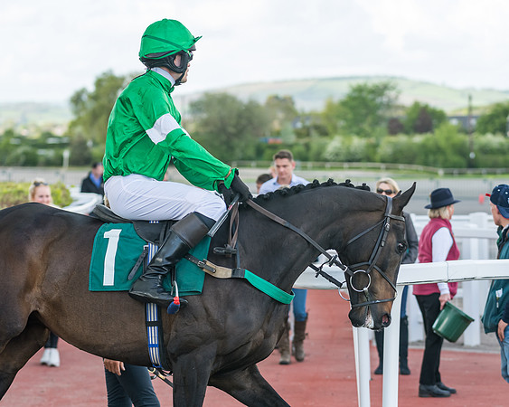 Race 3 - KTDA Open Hunter Chase (100 of 317)