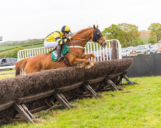 Race 7 - Veteran Horse conditions (112 of 244)