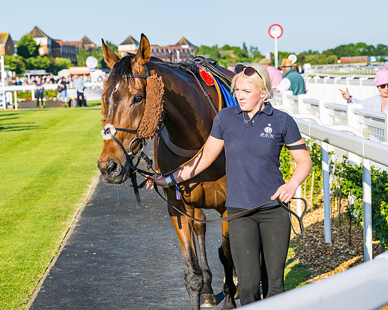 Race 4 - Foxhunters Championship (1 of 175)