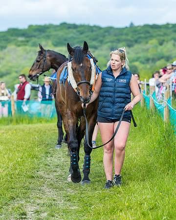 Race 5 - Restricted (14 of 335)