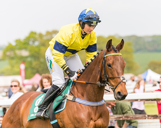 Race 2 - Owner-Trainer Conditions  (62 of 208)