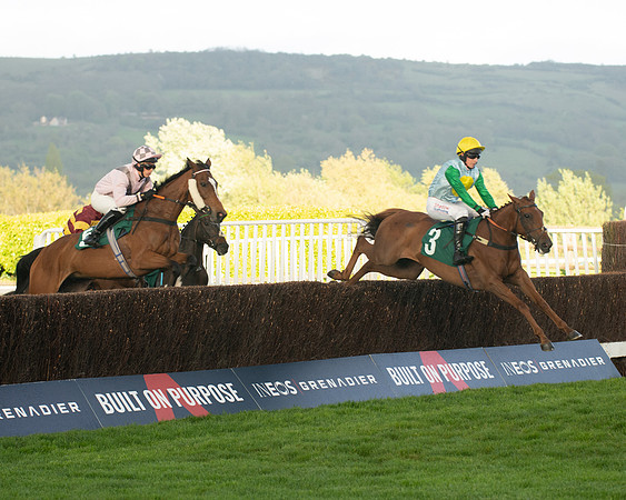 Race 5 - Mares Open  (82 of 329)