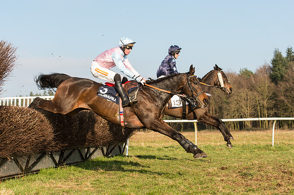 Race 5 - Restricted Race (31 of 64).jpg