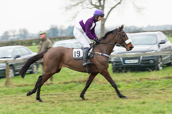 Race 6 - Open Maiden Div 2 (17 of 97).jpg