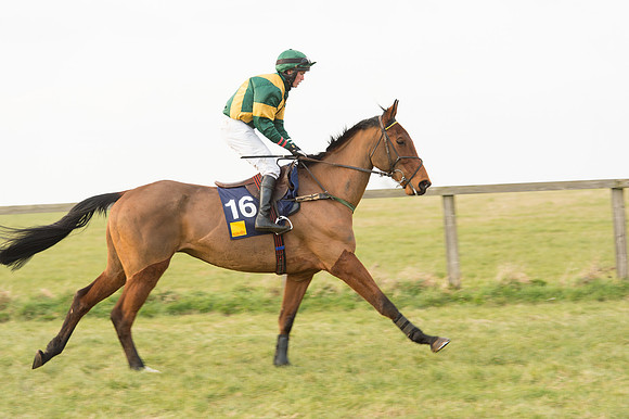 Race 6 Div 1 - Open Maiden  (6 of 116).jpg