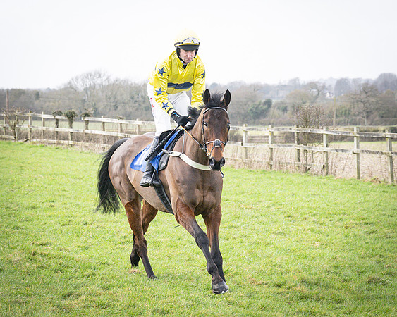 Race 1 - Four and Five year Old Maiden (34 of 137)