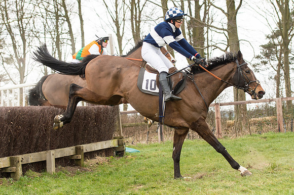 Race 2 - PPORA Novice riders  (98 of 186).jpg