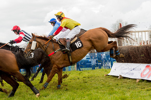 Race 2 - Novice and Veterans   (62 of 101).jpg
