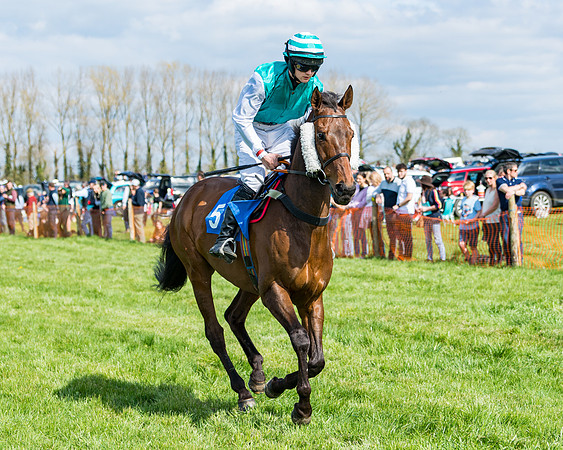 Race 3 -The Richardsons Accountants Conditions Race for Novice Riders  (29 of 154)