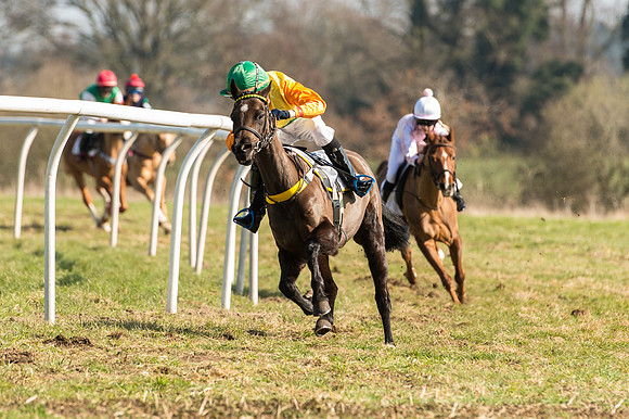 Pony Race 2 - 138 -  (14 of 28).jpg