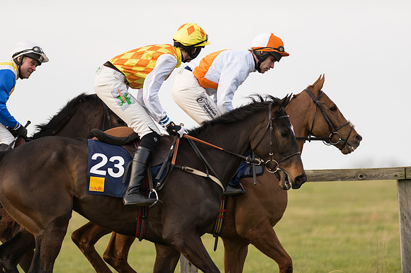 Race 6 Div 1 - Open Maiden  (30 of 116).jpg