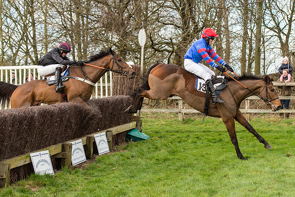 Race 2 - Young Horse Maiden (82 of 110).jpg