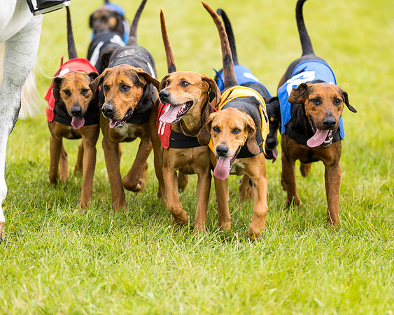 Draghounds Race (50 of 212)
