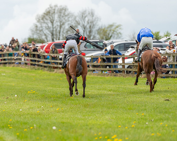 Race 2 - ROR and veteran Horse Conditions race (57 of 77)