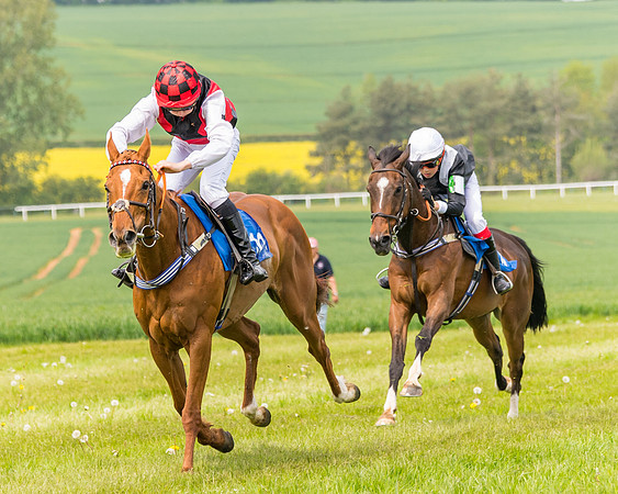 Pony Race 2 - 148cm (93 of 142)