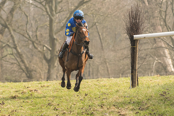 Pony Race 2 -  (27 of 32).jpg
