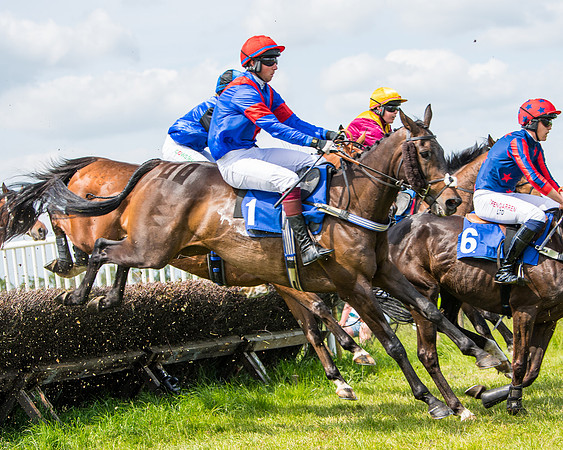 Race 2 - PPORA Novice Riders (218 of 444)
