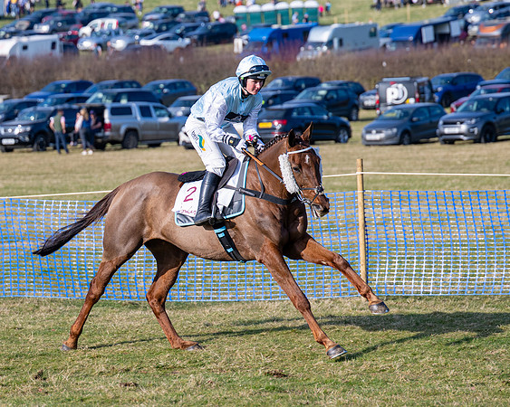 Race 5 - PPORA Five years and over (50 of 163)